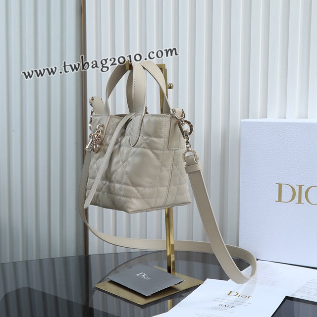 Dior专柜2025新款原厂皮手提包迪奥高仿原单杏色迷你toujours竖版手袋 djfk1842